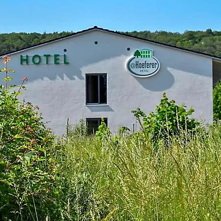 Hotel Walhalla Zen Regensburg 4*