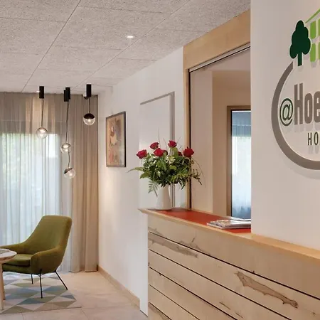 Walhalla Zen Regensburg 4* تيغيرنهايم